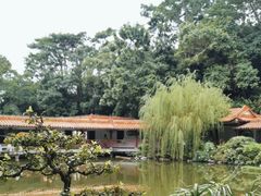 -深圳仙湖植物园