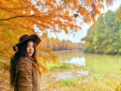 -上海海湾国家森林公园