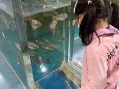 -上海大自然野生昆虫馆(东方明珠·爬宠昆虫探索中心)