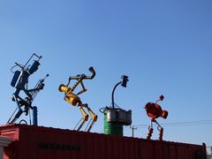 -上海长兴岛郊野公园