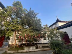 -东山雕花楼