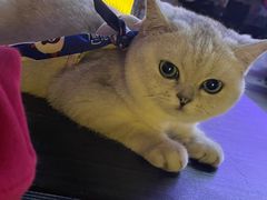 -星巴克(东莞塘厦万科生活广场店)