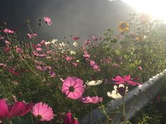 -孟屯河谷景区