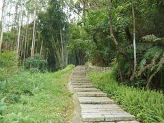 -黄埔油麻山森林公园