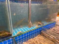 -鹿客臻鲜海鲜自助餐厅(永旺店)