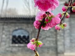 -三里河公园