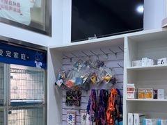-萌兽医馆·宠物医院·猫骨科(创景店)