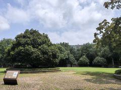 -灵谷景区