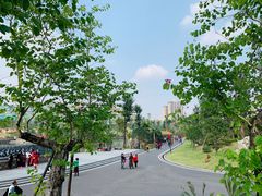 -枫香湖儿童公园