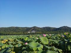 -杭州西湖风景名胜区-钱塘苏小小之墓