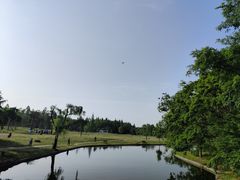 -共青国家森林公园-南大门停车场