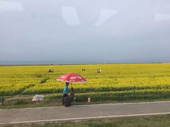 -青海湖国家重点风景名胜区