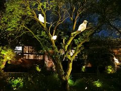 -杭州开元森泊度假乐园