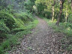 -平湖九龙山旅游度假区