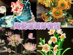 -淄博花灯齐彩城