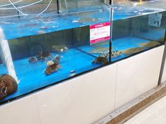 -振华量贩超市(福山二店)