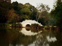 -南宁良凤江国家森林公园