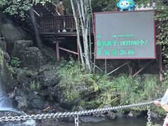 -汤旺河林海奇石景区