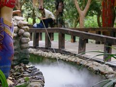 -呀路古热带植物园