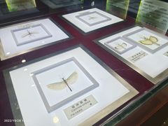 -上海昆虫博物馆