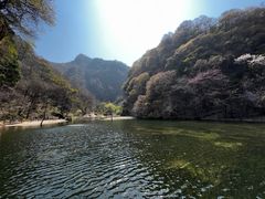 -少华山国家森林公园