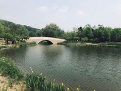 -东郊湿地公园