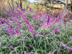 -香山公园-东宫门售票处