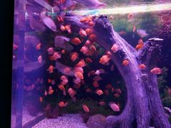 android_upload_pic-常州海昌海洋探索馆