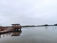 -芒洲湿地公园