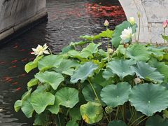 -北京市劳动人民文化宫(太庙)