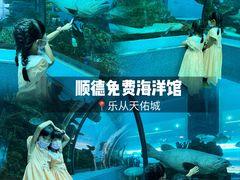 -乐从天佑城海洋馆