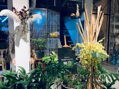-蓝山四季西餐植物店