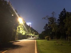 -艾溪湖湿地公园