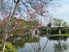 -无锡蠡湖国家湿地公园-蠡园