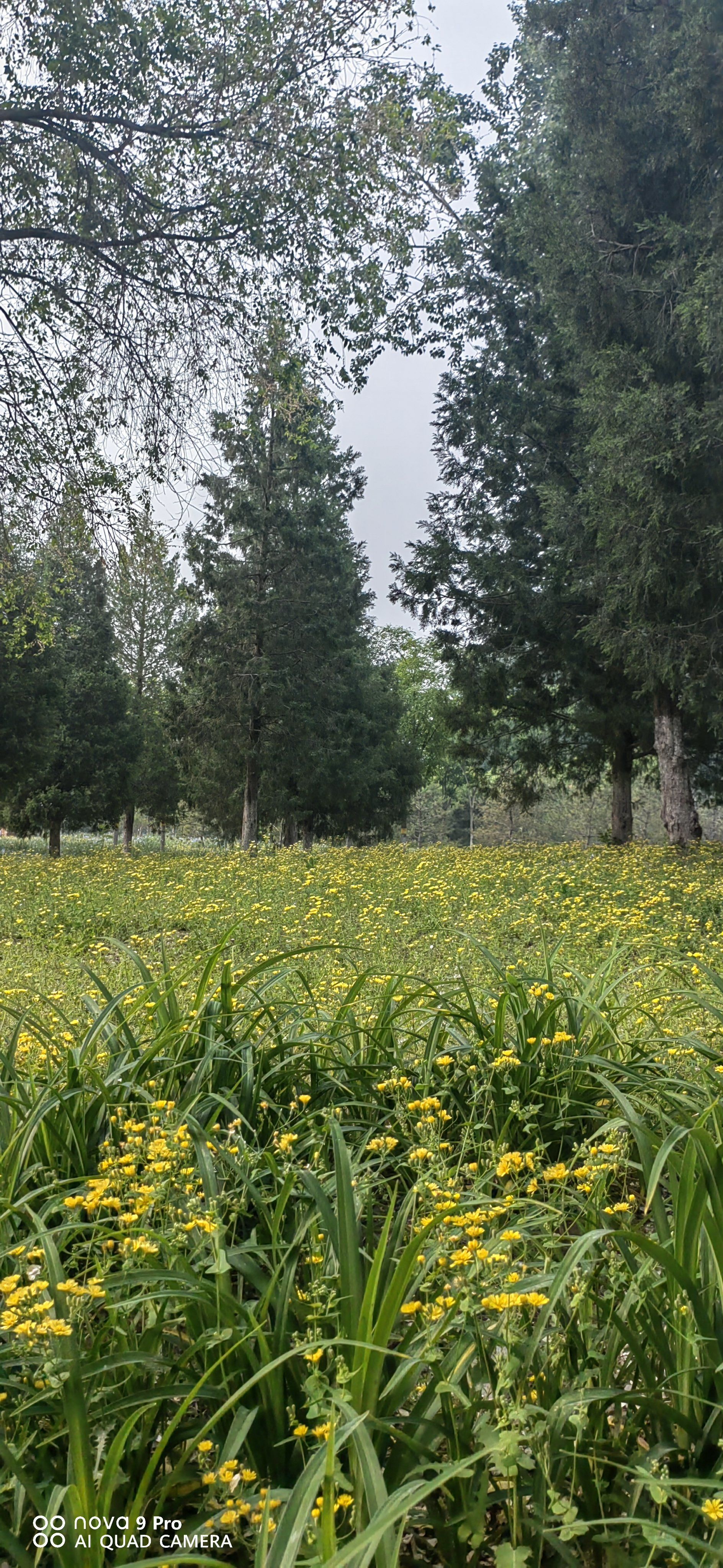 早晨起来享受一下大自然的阳光,美好的风景随拍