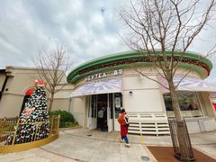 -喜茶(迪士尼小镇DP店)