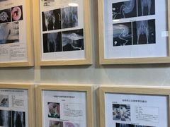 -半岛宠物医院24小时·内窥镜·牙科·碎石中心(府城大道店)