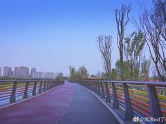 -府河摄影公园
