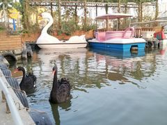 -珠海海泉湾神秘岛亲子乐园