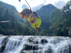 -刘伯温故里景区百丈漈