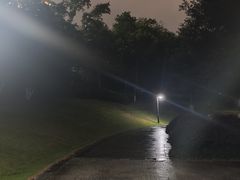 -沐仙湖湿地公园