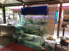 水产区-胖姐渔村(中源大道店)