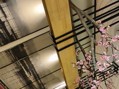 -老板恋上鱼(环山路店)