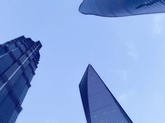 -上海柏悦酒店·世纪100牛排馆