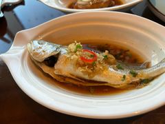 -彩丰楼·中餐厅(国家会展中心上海洲际店)