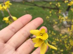 -艾溪湖湿地公园