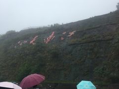 -江南天池