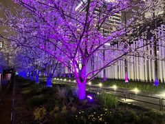 -新天地活力PARK