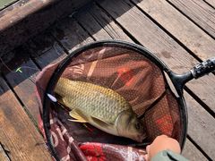 -酷鱼垂钓CLUB(朝阳区博大路店 )