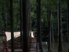 -波尔登森林公园
